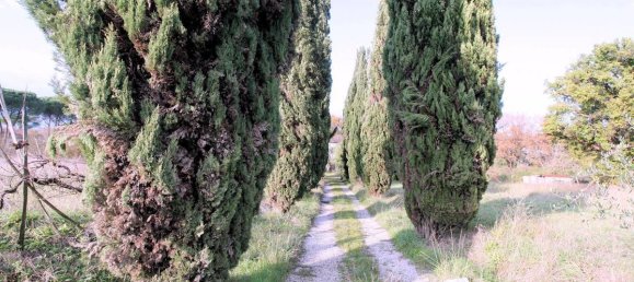 Casa T9 em Altopascio, Italy N.º 236102 16