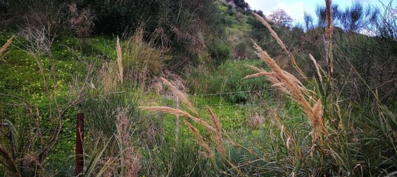 11500m² Land in Santa Lucia del Mela, Italy No. 68527 4