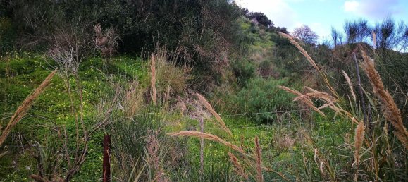11500m² Land in Santa Lucia del Mela, Italy No. 68527 2