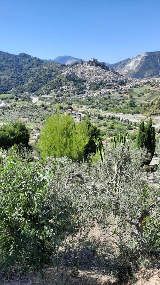 11500m² Land in Santa Lucia del Mela, Italy No. 68527