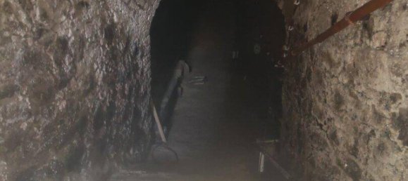 2-Zimmer Haus in Neusiedl an der Zaya, Austria, Nr. 210273 13