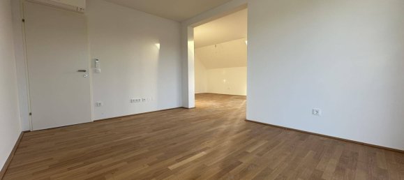 2 bedrooms Penthouse in Ebreichsdorf, Austria No. 139698 6