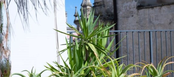 Дом с 3 спальнями в Nardò, Италия № 170751 16