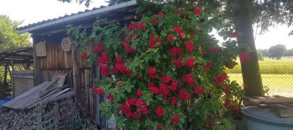 932m² Land in Darmstadt-Dieburg, Germany No. 204036 14