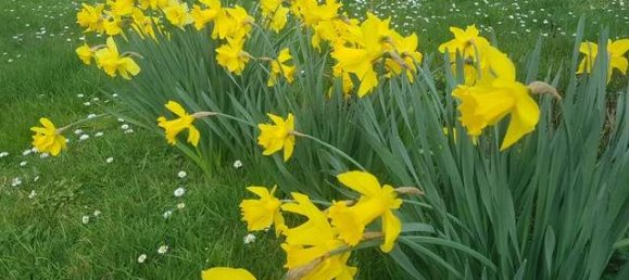 932m² Land in Darmstadt-Dieburg, Germany No. 204036 8