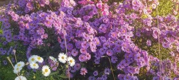 932m² Land in Darmstadt-Dieburg, Germany No. 204036 3