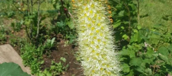 932m² Land in Darmstadt-Dieburg, Germany No. 204036 16