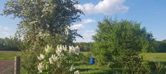 932m² Land in Darmstadt-Dieburg, Germany No. 204036 11