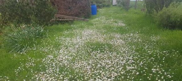 932m² Land in Darmstadt-Dieburg, Germany No. 204036 10