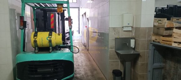 Gewerbliche Immobilie in Vila Real de Santo Antonio, Portugal 405m², Nr. 253479 25