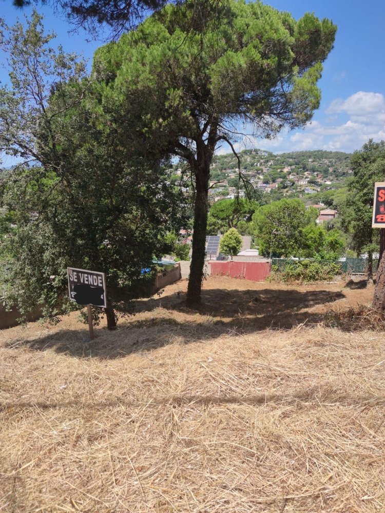  Land in Macanet De La Selva, Spain No. 229919