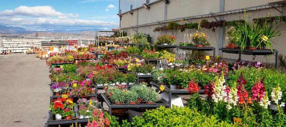 2 bedrooms Apartment in Gran Alacant, Spain No. 160789 35