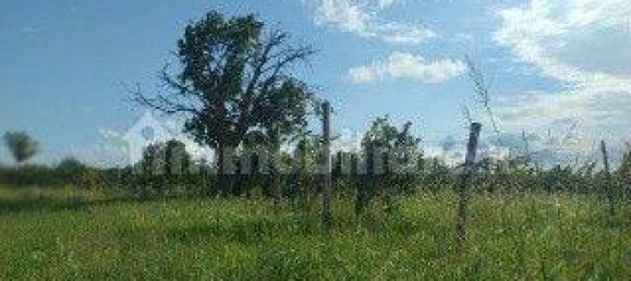 66000m² Land in Udine, Italy No. 342287 3