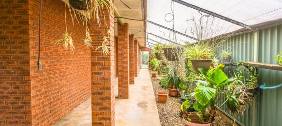 6 bedrooms House in Deniliquin, Australia No. 967 15