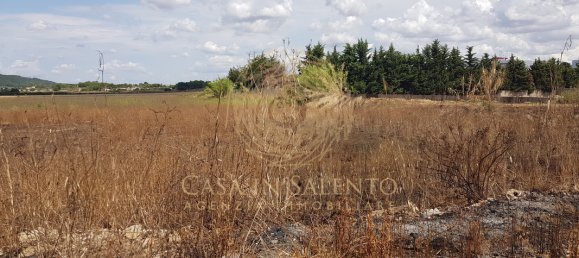 Земельный участок 1049м² в Алессано, Италия № 144090 4