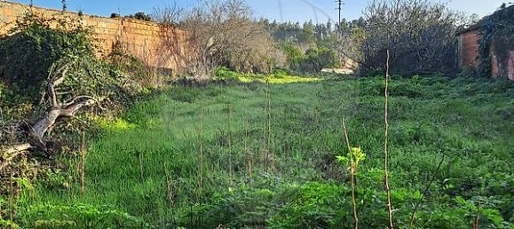 1 bedroom House in Febres, Portugal No. 32182 3