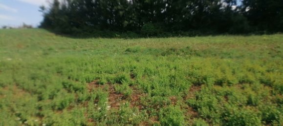 Grundstück in Castellarano, Italy 1700m², Nr. 128195 6