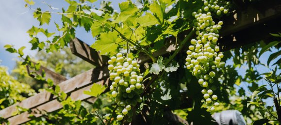 6غرفة تاون هاوس في Freiburg im Breisgau, Germany رقم 46424 18