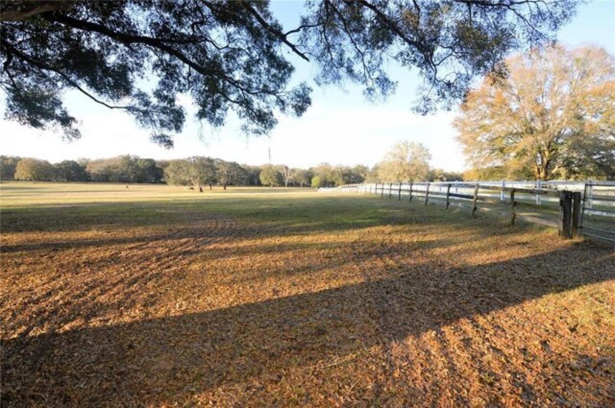 Terrain à Dade City, USA No. 500930