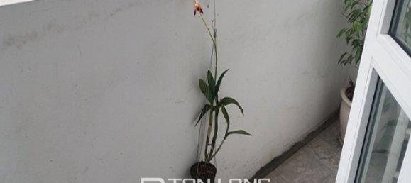 استوديو في Dong Da, Vietnam رقم 2971 8