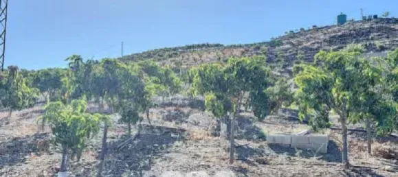 Земельный участок 45м² в Бенамаргоса, Испания № 36892 49