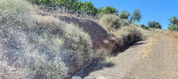 Земельный участок 45м² в Бенамаргоса, Испания № 36892 2