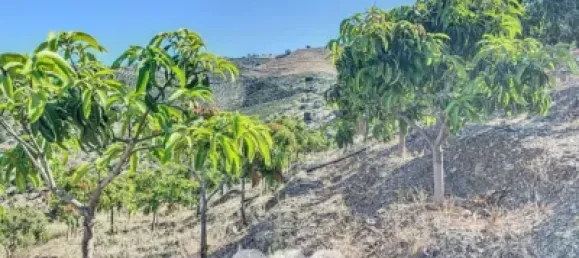 Земельный участок 45м² в Бенамаргоса, Испания № 36892 6