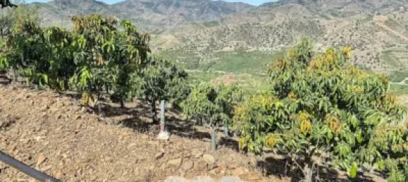 Земельный участок 45м² в Бенамаргоса, Испания № 36892 50