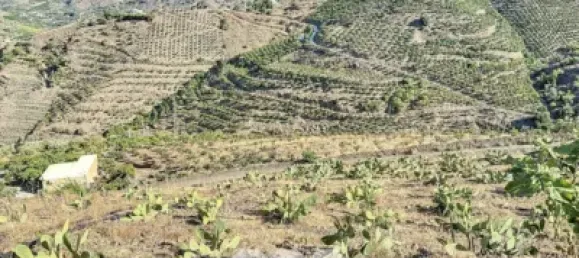 Земельный участок 45м² в Бенамаргоса, Испания № 36892 21