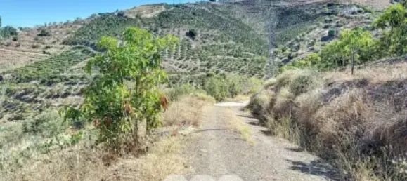 Земельный участок 45м² в Бенамаргоса, Испания № 36892 10