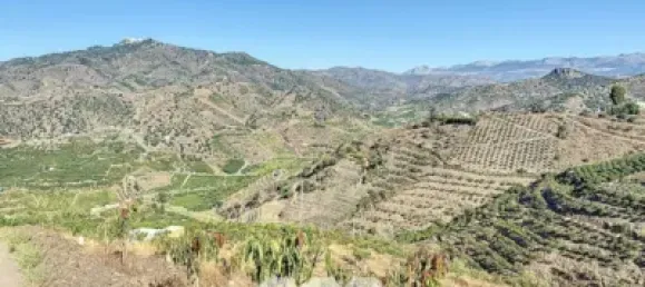 Земельный участок 45м² в Бенамаргоса, Испания № 36892 31