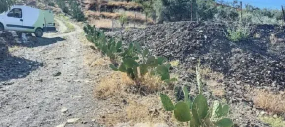 Земельный участок 45м² в Бенамаргоса, Испания № 36892 5