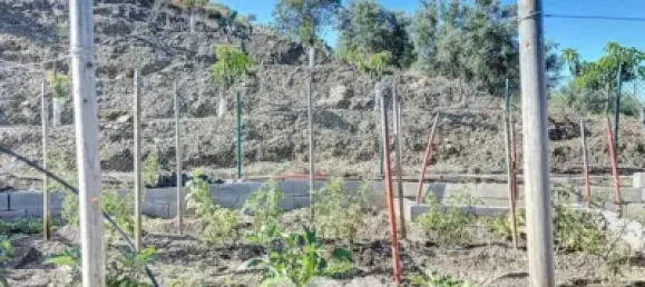 Земельный участок 45м² в Бенамаргоса, Испания № 36892 40