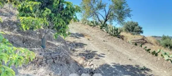 Земельный участок 45м² в Бенамаргоса, Испания № 36892 8