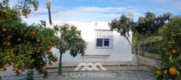 Земельный участок 45м² в Бенамаргоса, Испания № 36892 43