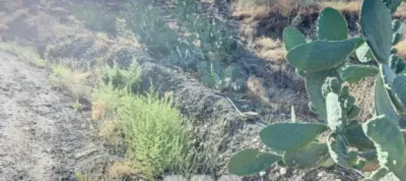 Земельный участок 45м² в Бенамаргоса, Испания № 36892 38