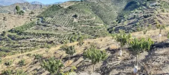 Земельный участок 45м² в Бенамаргоса, Испания № 36892 36