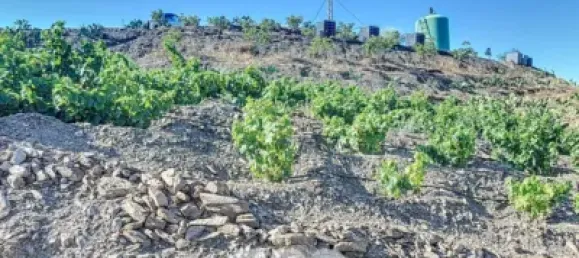 Земельный участок 45м² в Бенамаргоса, Испания № 36892 32