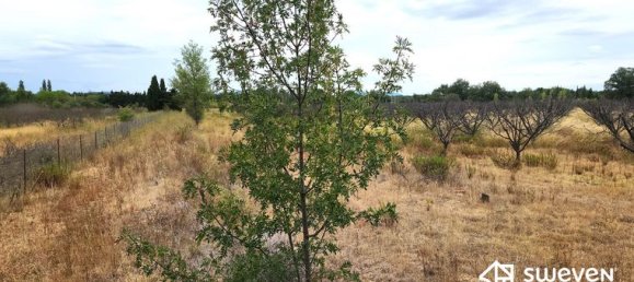 Terrain à Pyrénées-Orientales, France 50725m² No. 314706 2