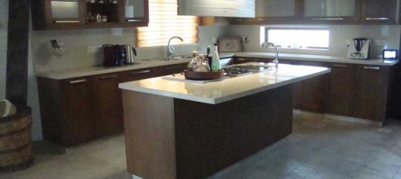 5 chambres Villa à Akrounta, Cyprus No. 6996 7