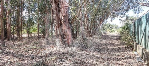 Casa de 5 dormitorios en Pinhal Novo, Portugal No. 67832 36