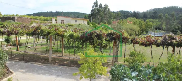 Casa de 4 dormitorios en Seixas, Portugal No. 54555 24