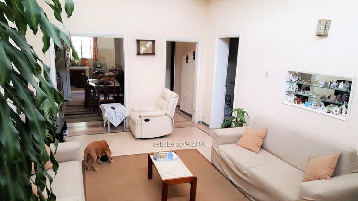 5 غرف نوم منزل في Montevideo, Uruguay رقم 10062