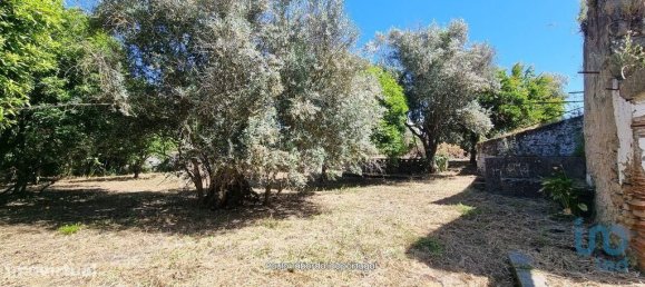 9 bedrooms House in Alpalhao, Portugal No. 190210 9