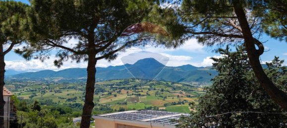 5 rooms Apartment in Cupramontana, Italy No. 8305 12