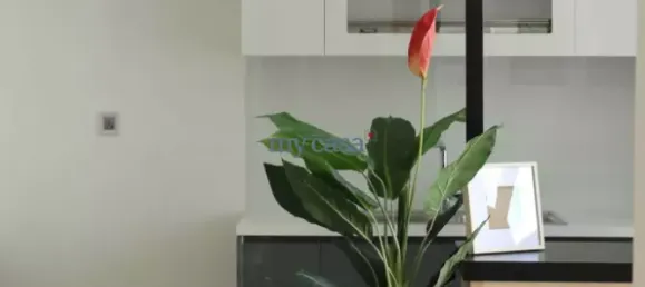 2 bedrooms Apartment in District 1, Vietnam No. 8303 9