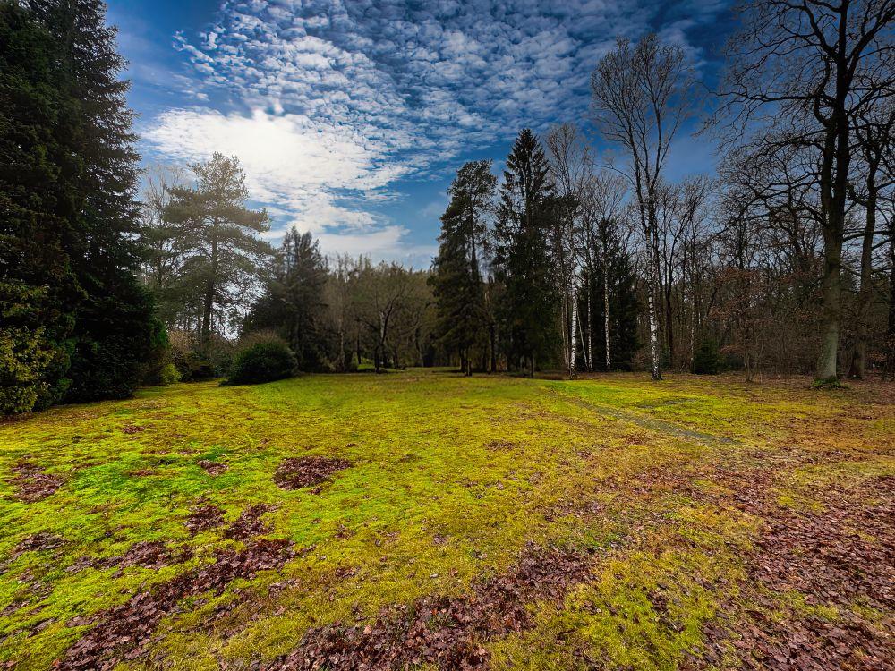 Terreno en Harburg, Germany No. 271263