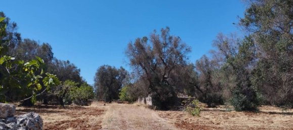 2 Schlafzimmer Haus in Francavilla Fontana, Italy, Nr. 271602 9