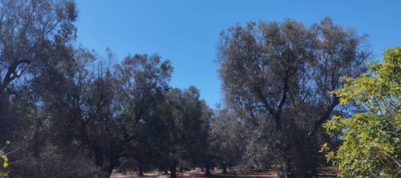 2 Schlafzimmer Haus in Francavilla Fontana, Italy, Nr. 271602 8