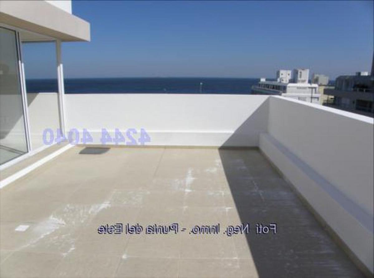 2 غرف نوم شقة في Punta del Este, Uruguay رقم 3854